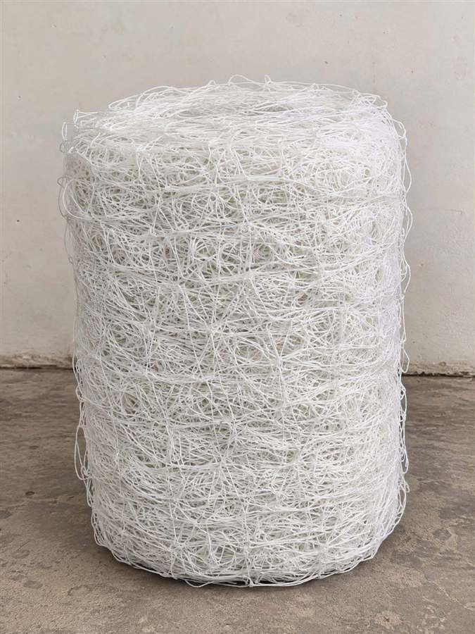 Roll of bird net